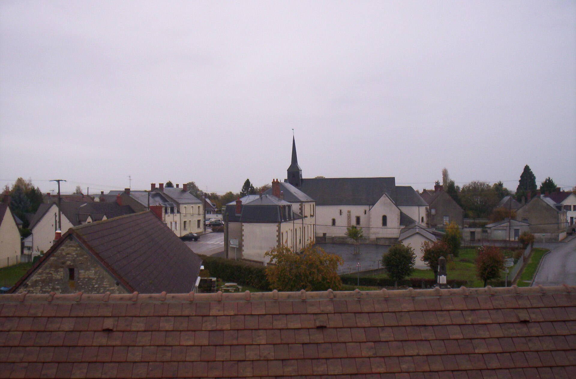 Couy